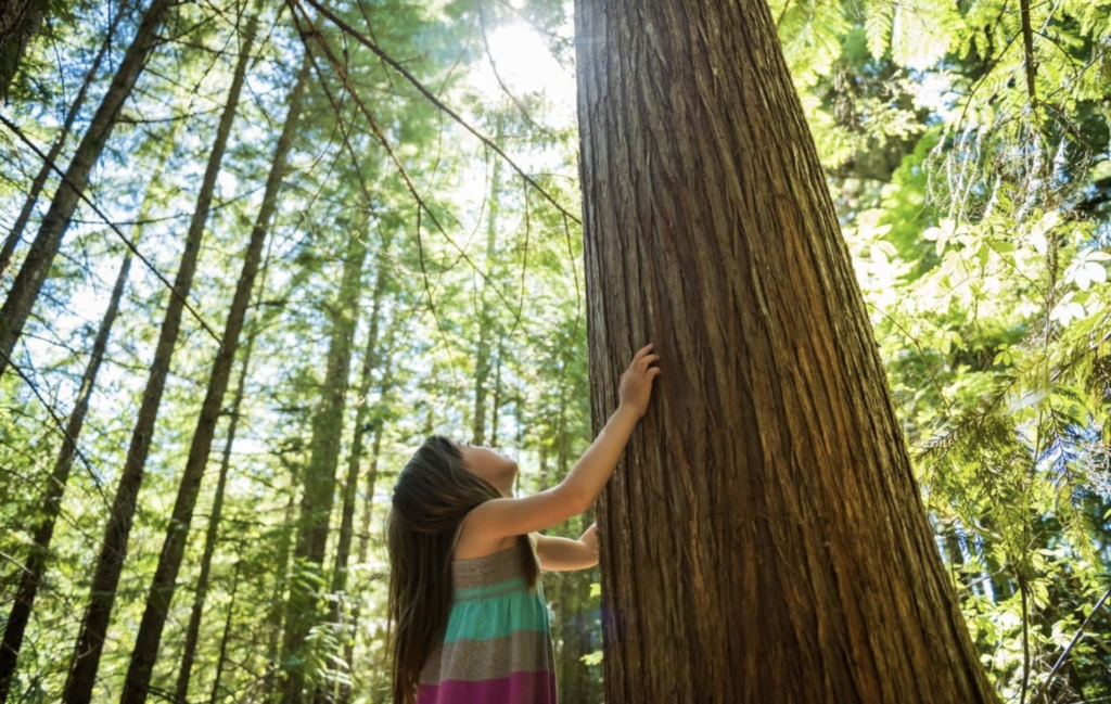 captura de pantalla 2026 01 11 a la(s) 2.51.02 p.m.